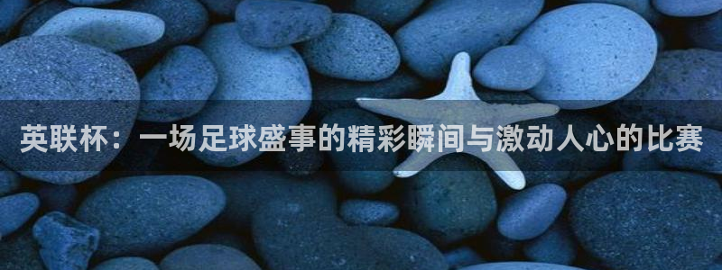 857体育直播免费在线观看：英联杯：一场足球盛事的精彩瞬间与激动人心的比赛
